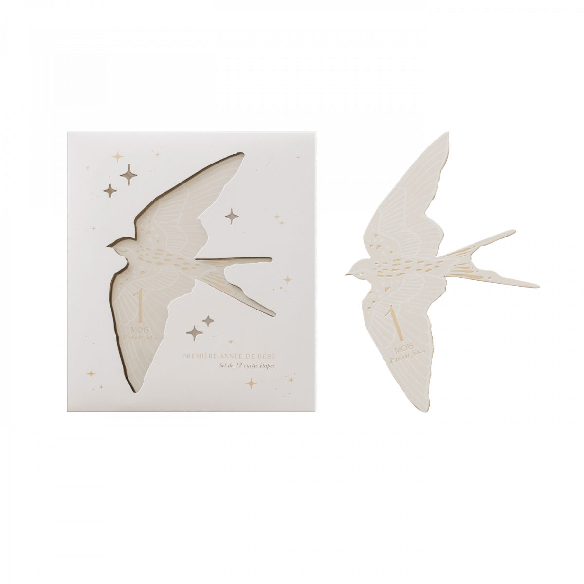 Milestone cards - Birds