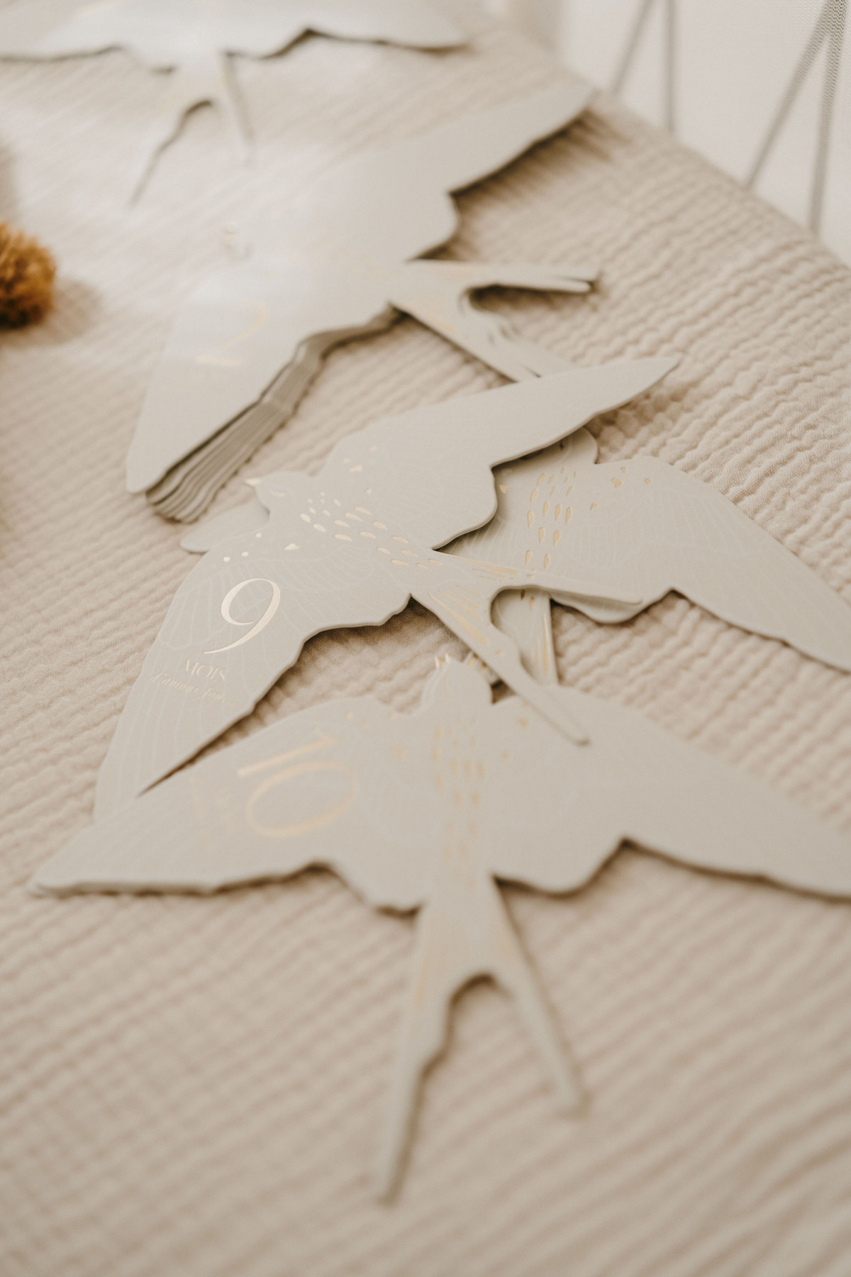 Milestone cards - Birds