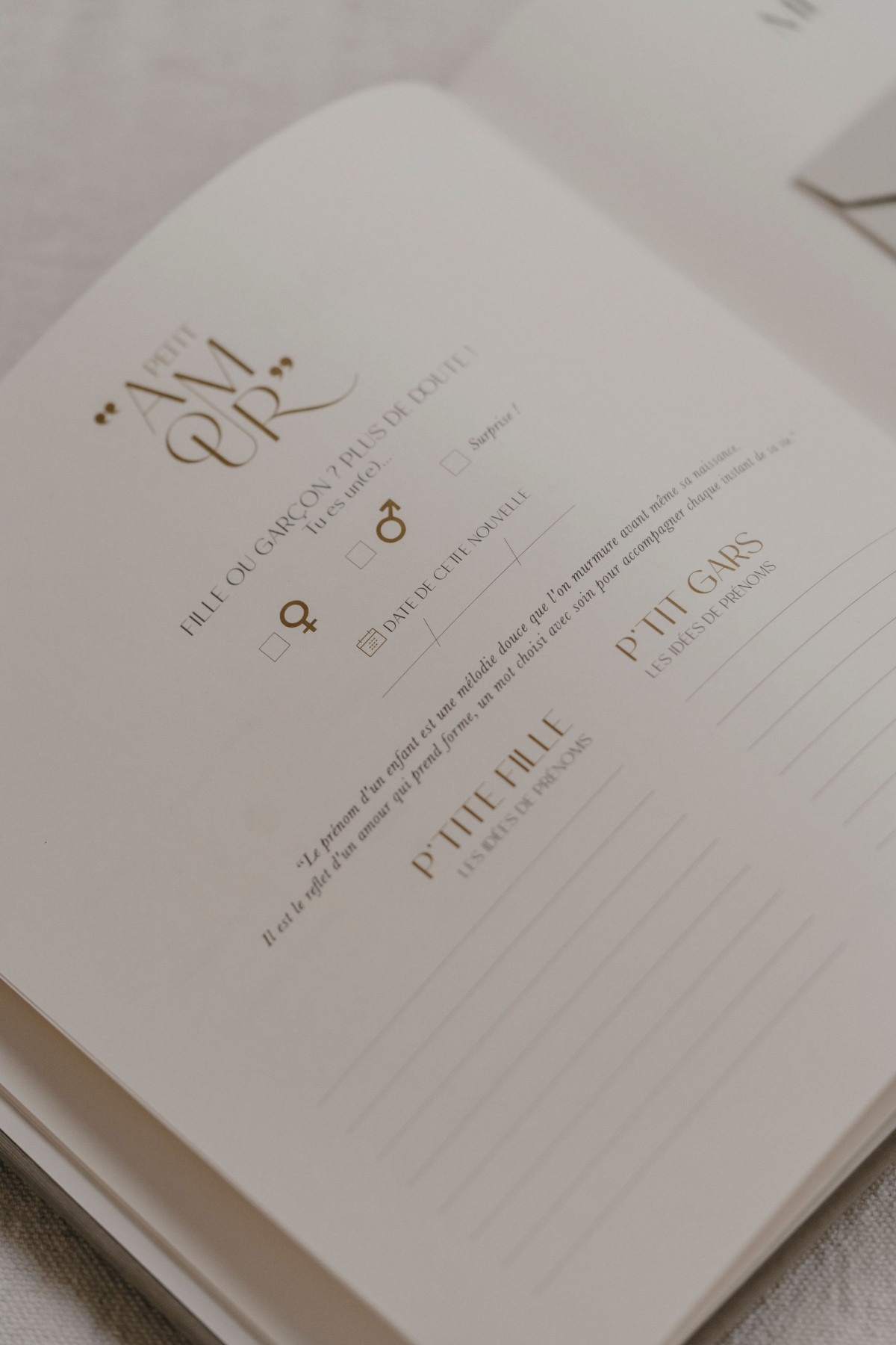 Livre de naissance - Pure lin