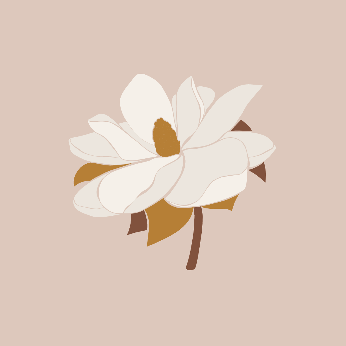 Magnolia